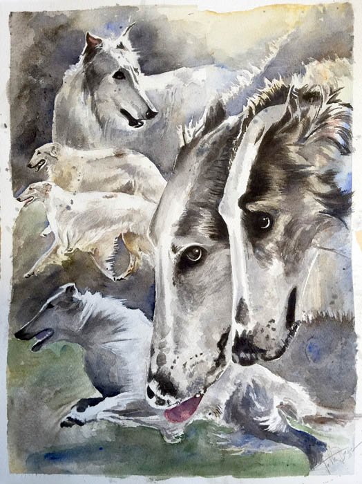 Borzoi | Dog Art | Arja Koskelo Oy